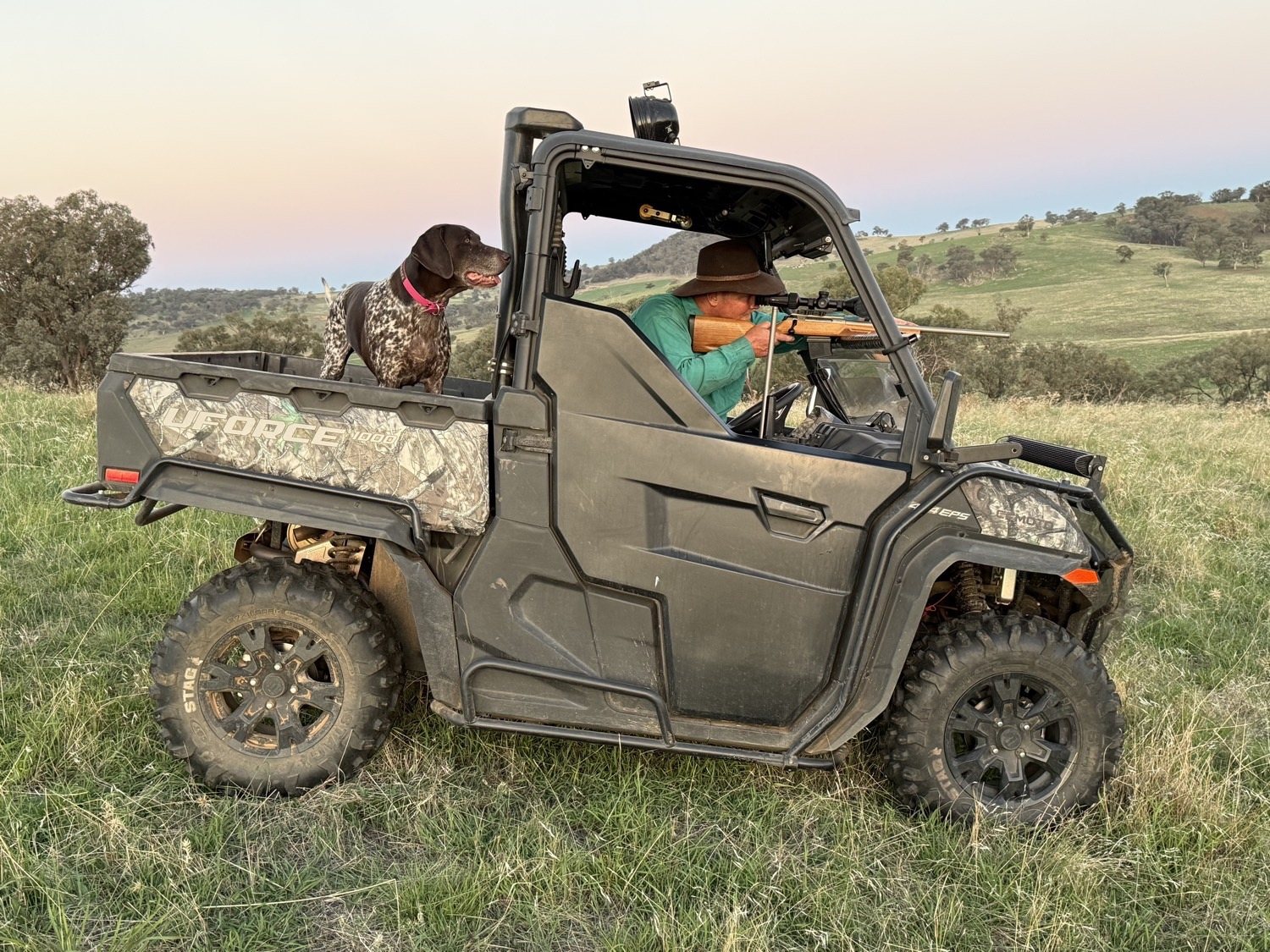 SouthPoint buggy field setup with working dog on rural property