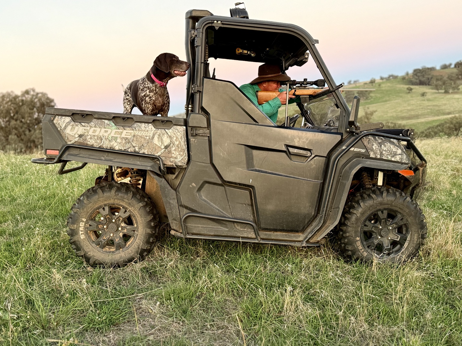 SouthPoint buggy field setup on rural country with working dog