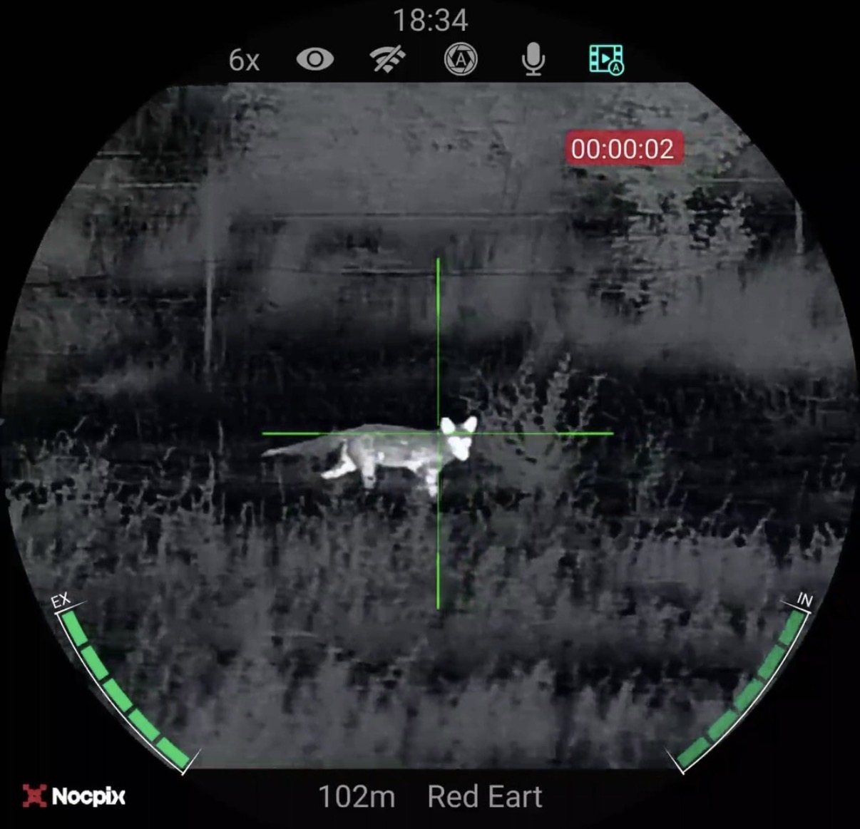 Fox detected through thermal imaging equipment