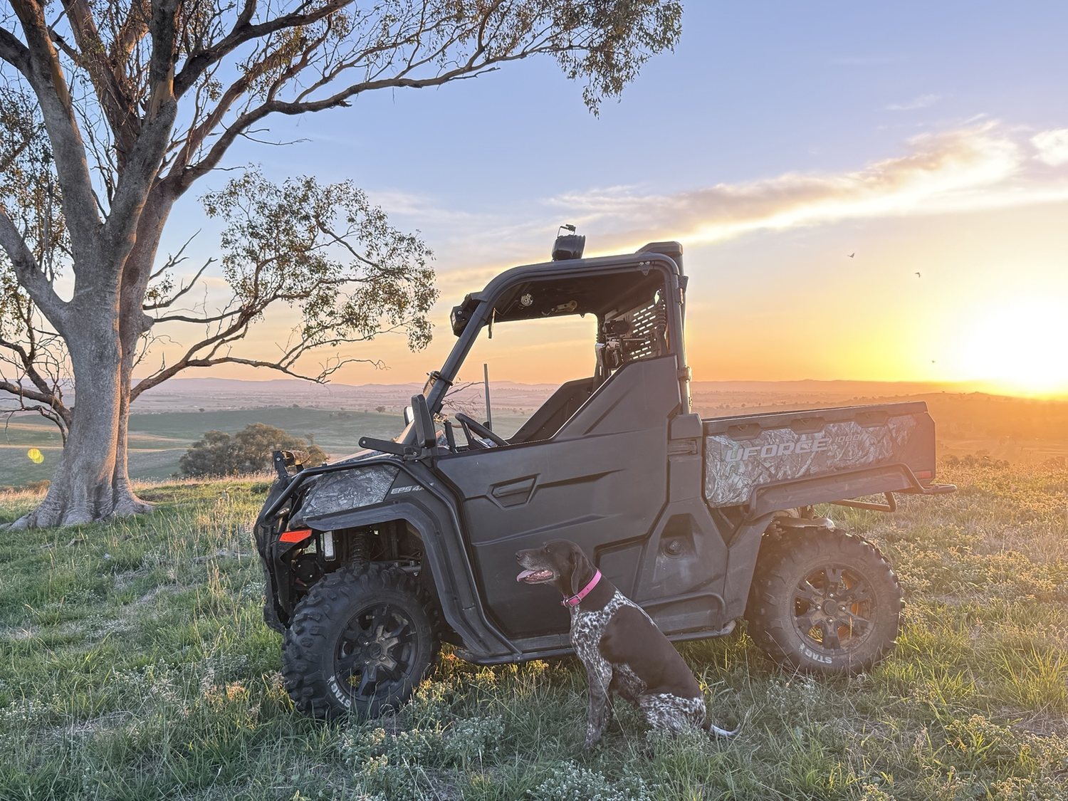 SouthPoint UTV and working dog at sunset